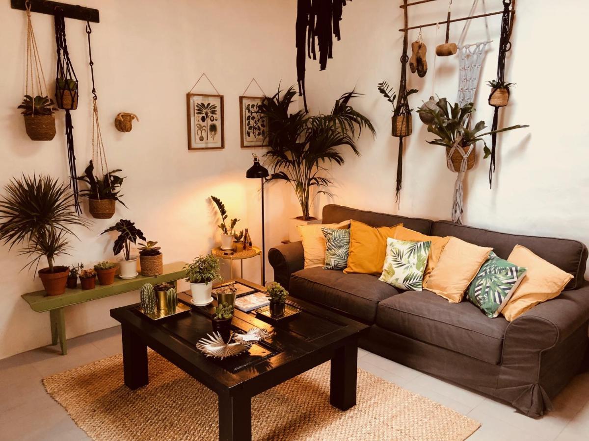 Cuarto Botanico Studio - Shared Pool - Central Island Location - 10 Mins Drive To Famara And La Santa Tiagua 外观 照片