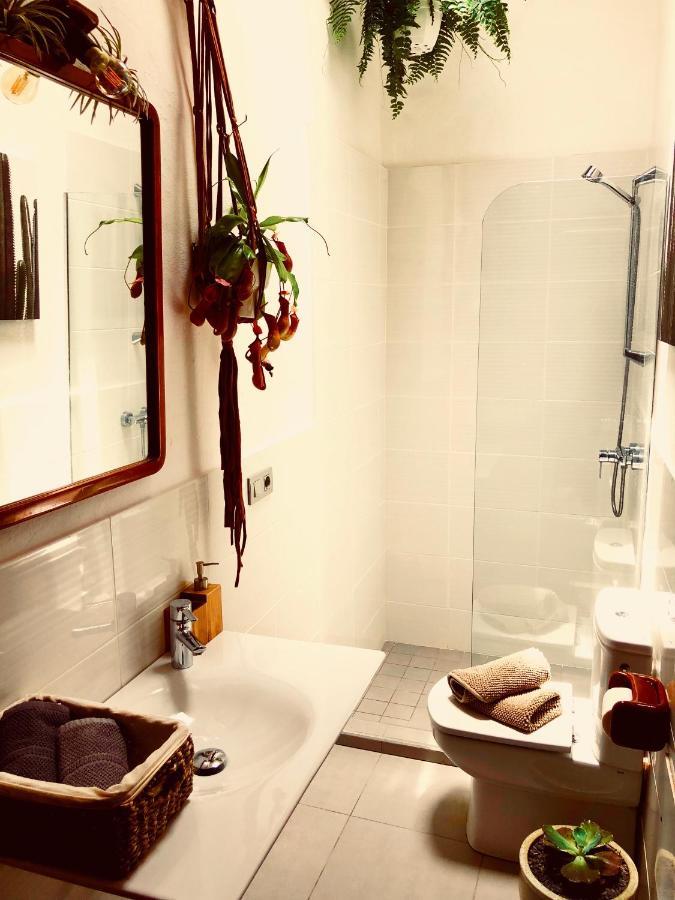Cuarto Botanico Studio - Shared Pool - Central Island Location - 10 Mins Drive To Famara And La Santa Tiagua 外观 照片